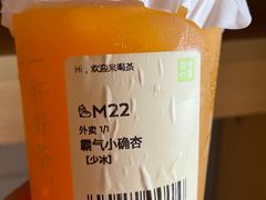 霸气小确杏-奈雪的茶(永嘉天地东百城店)