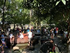 -成都市活水公园