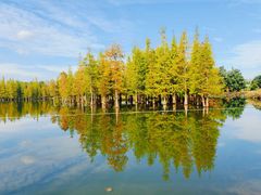 -白鹭湾湿地公园