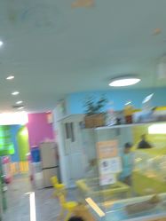 -神奇动物撸宠馆·羊驼·小浣熊·异宠(豫园店)
