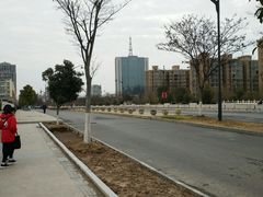 -五里湖湿地公园