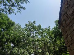 -井塘古村
