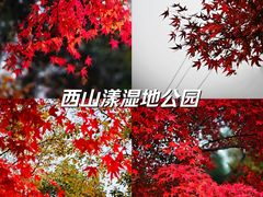 -中国湖笔博物馆(莲花庄路)