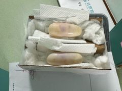 -北京观赏动物医院·24小时大型综合·猫专科·异宠专科
