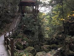 -藏龙百瀑风景区