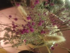 -甜喵酒吧(茂业店)