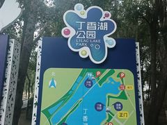-丁香湖公园