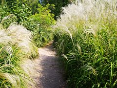 -野鸭湖国家湿地公园