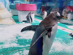 -台州海洋世界
