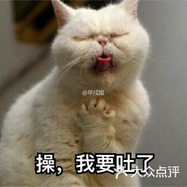 莽子火锅图片 - 第12张