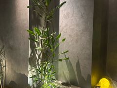 -巴公房子