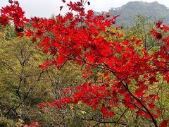 -本溪老边沟风景区