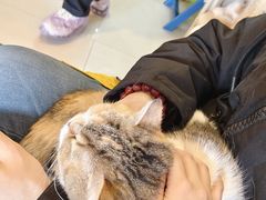 -平行世界·猫咖(首经贸店)