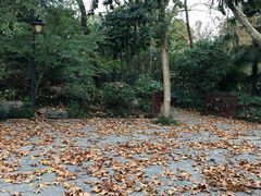 -杭州植物园