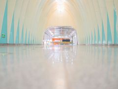 -田村(地铁站)