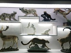 -国家自然博物馆