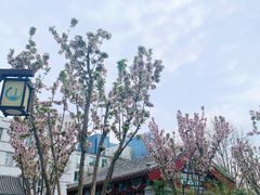 -西海子公园