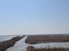 -盐城丹顶鹤湿地生态旅游区