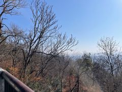 -紫金山山顶公园