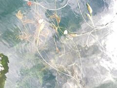 -丽江泸沽湖景区