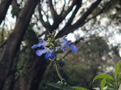 -人民公园(罗湖区)