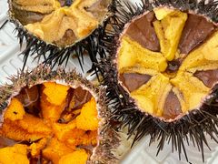 -海胆小馆(东北水饺·春柳店)