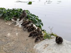 -颐和园