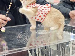 -万达广场(沈阳铁西店)