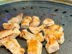 -杨小佳·齐齐哈尔烤肉·烤串(广州店)