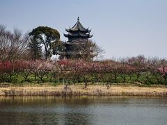 -上海海湾国家森林公园