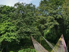 -广州市白云山风景名胜区
