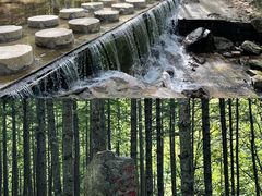 -洛阳白云山景区