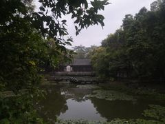 -深圳国际园林花卉博览园