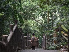 -乐山大佛风景名胜区乌尤寺南门-售票点