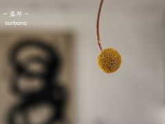 -盛邦家居建材广场