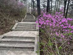 -崂山巨峰游览区
