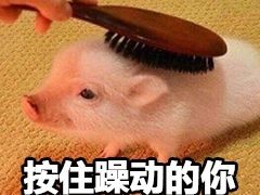 -咏哇美蛙美味(厦门罗宾森店)