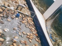 -海天盛宴新派海鲜自助餐厅(群力店)