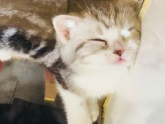 -凯德广场(武胜路店)