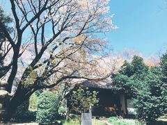 -东京国立博物馆