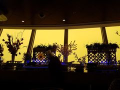 -339旋转餐厅(天府熊猫塔店)