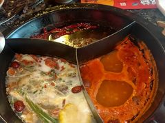 -蜀大侠火锅(森兰花园城店)