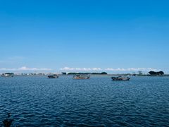 -大湾区中央湿地公园-十九涌