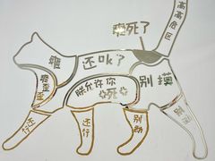 -有喵·猫咖·狗咖·30几只猫10只小狗(岗厦店)