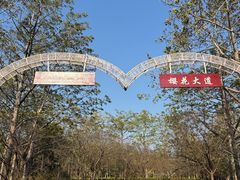 -田野绿世界