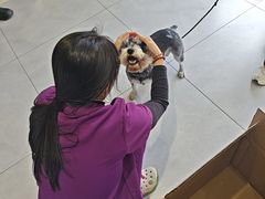 -关爱宠物医院·猫科中心·消化科(滨湖万达分院)