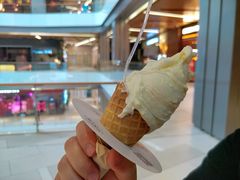 -野人先生现做冰淇淋(北京环宇荟店)