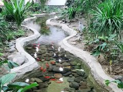 -七味轩中华传统文化主题酒楼(泽信广场店)