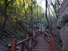 -大岭沟猕猴桃谷风景区