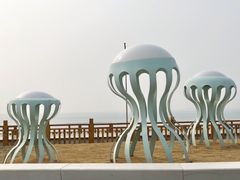 -青岛石老人海水浴场